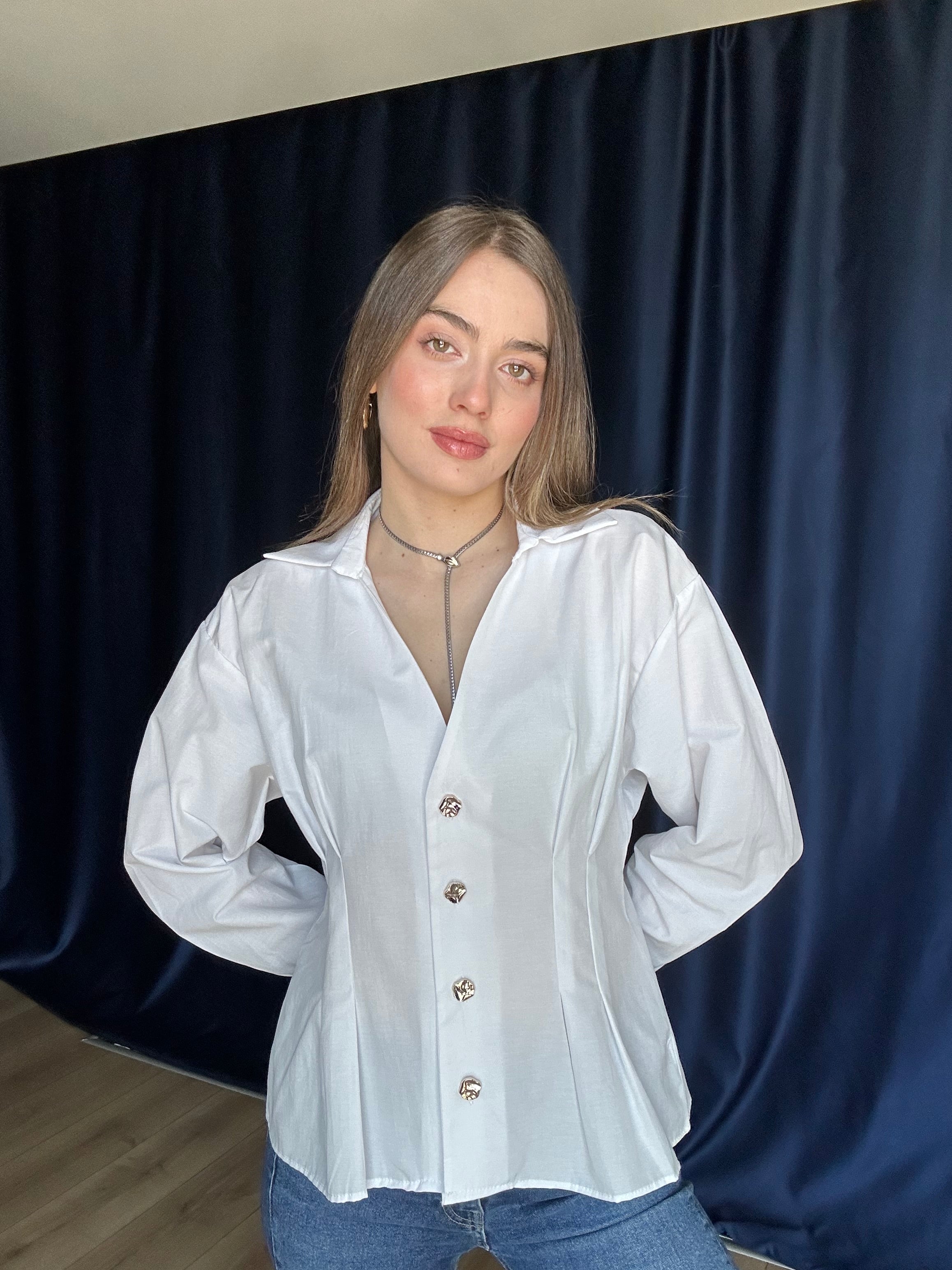 Aec Prive Women's Bella Slimming Stylish Shirt-23423